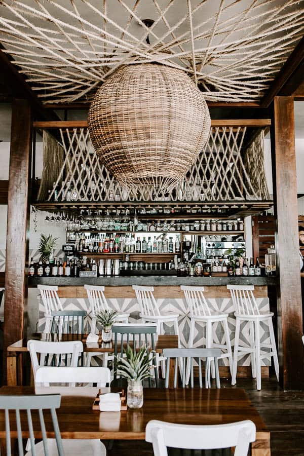 The real coconut.jpg